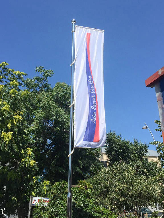 Kollu Flama Direği